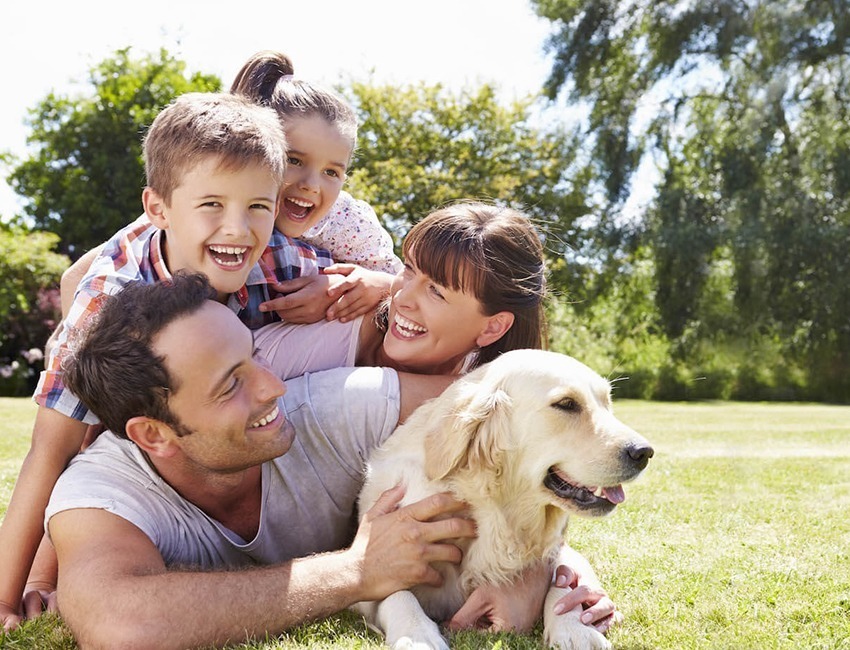 STJ decide que Condomínio não pode proibir morador de ter animal