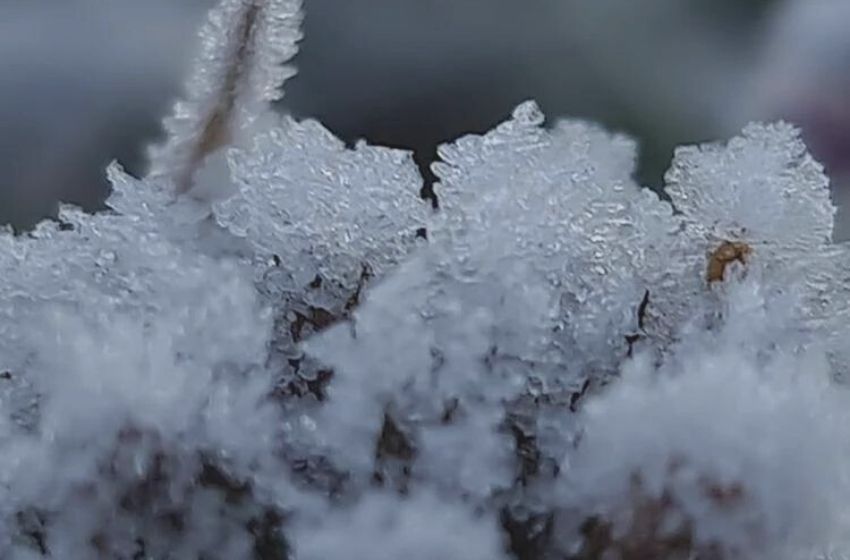 Frente fria histórica pode trazer novas temperaturas para SP.