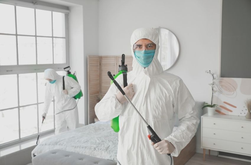 Dicas na hora de contratar uma dedetizadora para o condomínio.