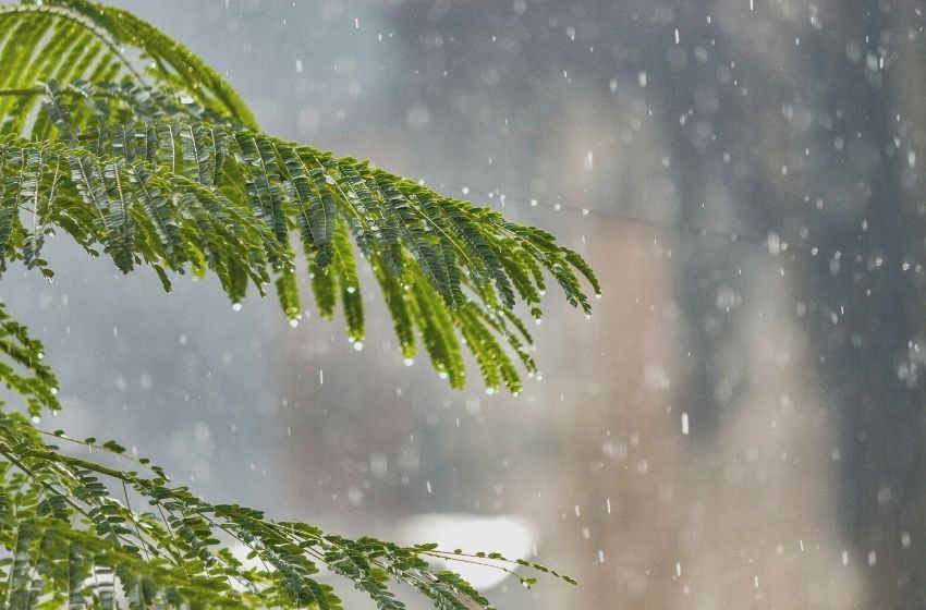 Crise hídrica: condomínio utiliza água da chuva.