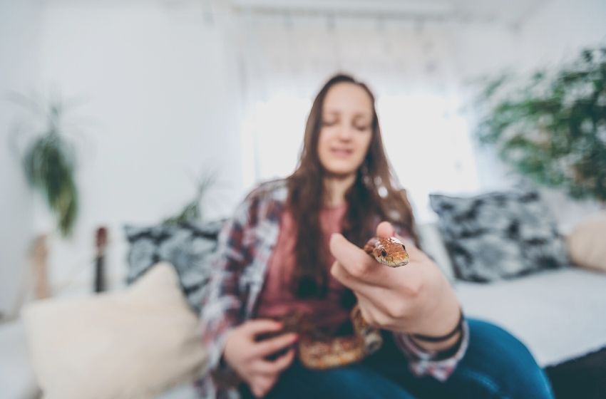 Entenda as regras para criar animais exóticos em condomínios.